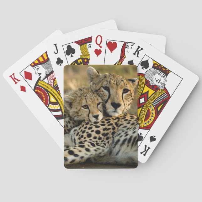 Cheetah Cub Snuggling with its Mom Playing Cards (Back)