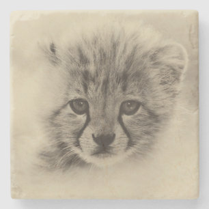 Cheetah Cub Stone Coaster