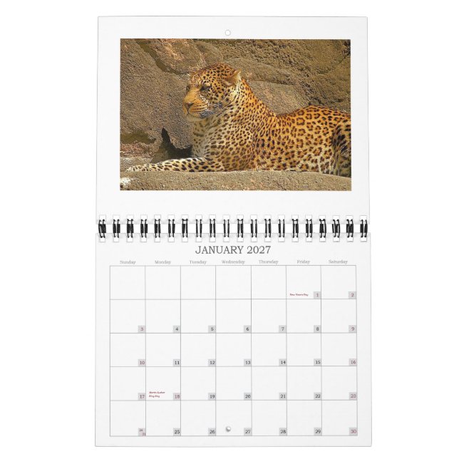 cheetah-cubs, NORPHLET, LEOPARDS Calendar (Jan 2027)
