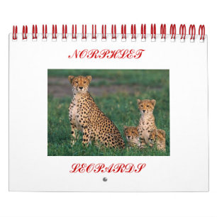 cheetah-cubs, NORPHLET, LEOPARDS Calendar