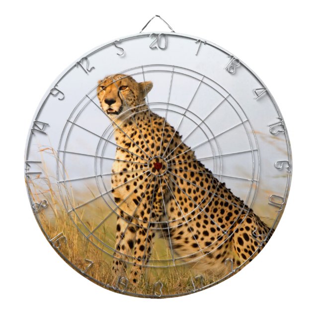 Cheetah Dartboard (Front)