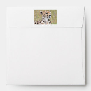 Cheetah Envelope