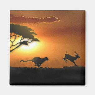 Cheetah et aimant Gazelle