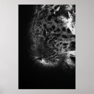 cheetah face close-up decorative sketch art poster