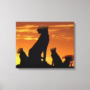 Cheetah family canvas print