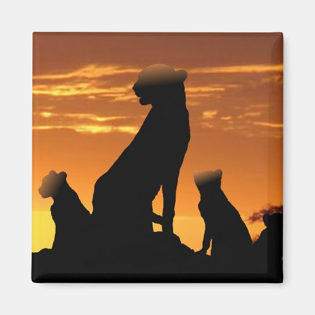 Cheetah family magnet (Front)