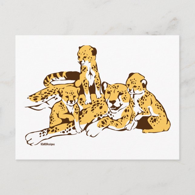 Cheetah Family Postcard (Front)