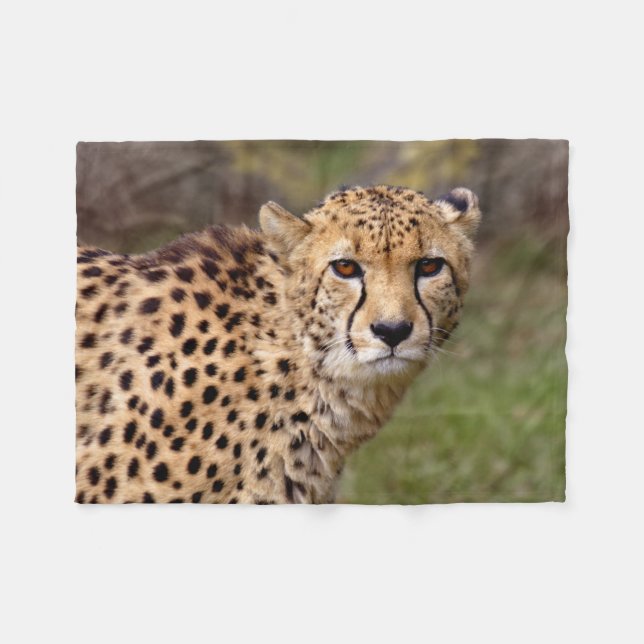 Cheetah Fleece Blanket (Front (Horizontal))