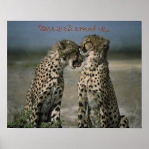 Cheetah friends poster