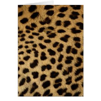 Cheetah fur Wildlife Cards Series