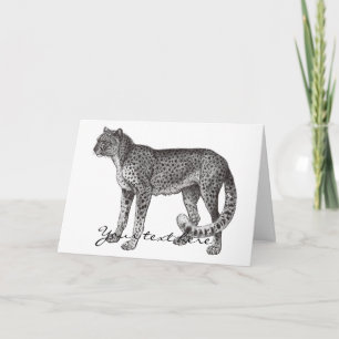 Cheetah Greeting Card