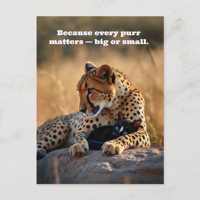 Cheetah Guardian, Kitten Heart Holiday Postcard (Front)
