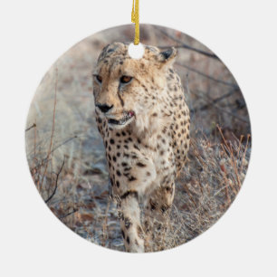 Cheetah Hunting Ceramic Ornament