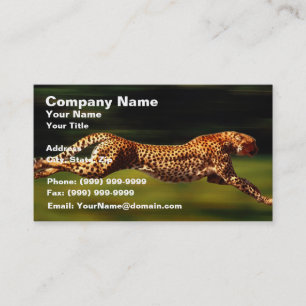 Cheetah Hunting His Prey Business Card
