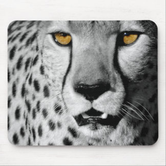 Cheetah in black and white mouse pad