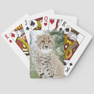 Cheetah in Snow Playing Cards