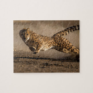 Cheetah Jigsaw Puzzle
