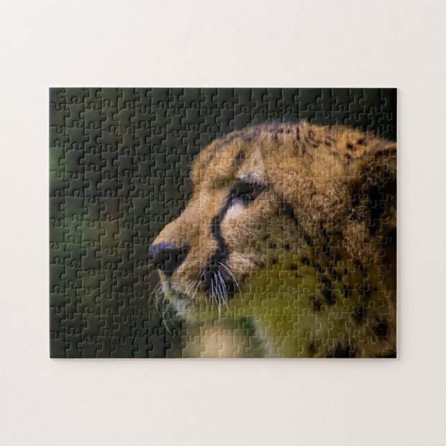 Cheetah Jigsaw Puzzle (Horizontal)