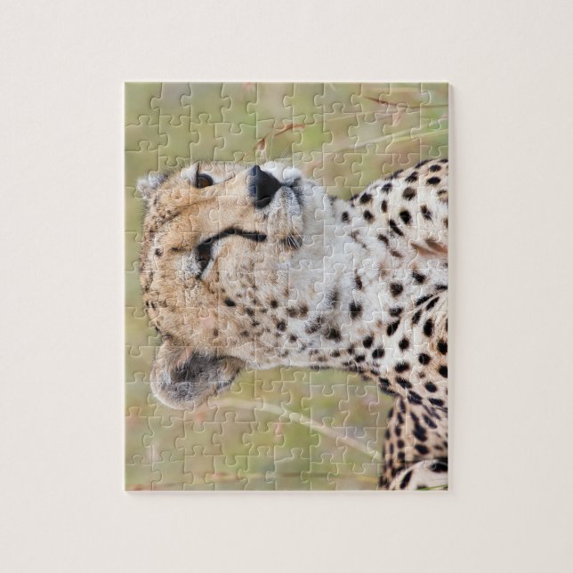 Cheetah Jigsaw Puzzle (Vertical)