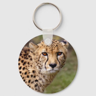 Cheetah Keyring