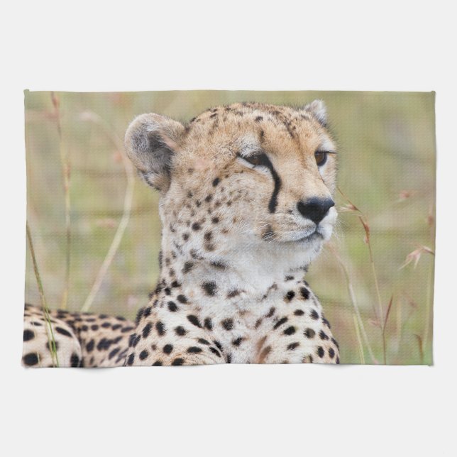 Cheetah Kitchen Towel (Horizontal)