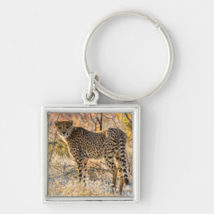 Cheetah Looking Around Keychain