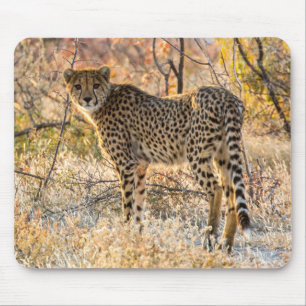 Cheetah Looking Around Mouse Pad