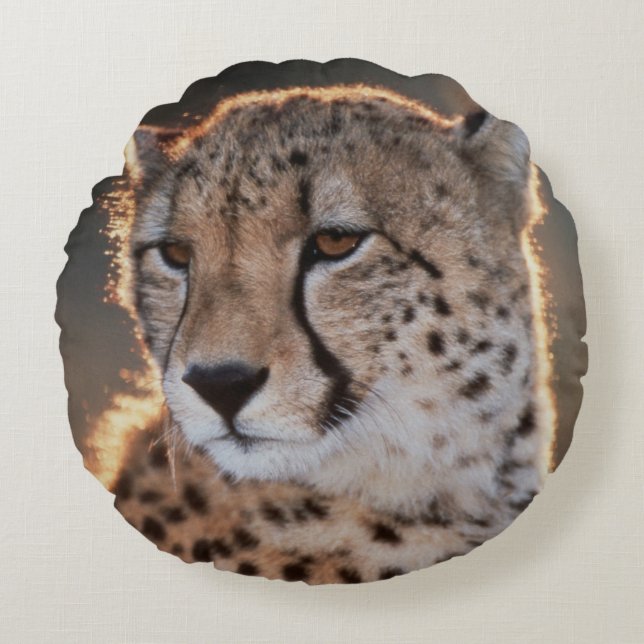Cheetah looking away round pillow (Front)