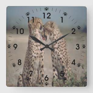 Cheetah Love Square Wall Clock