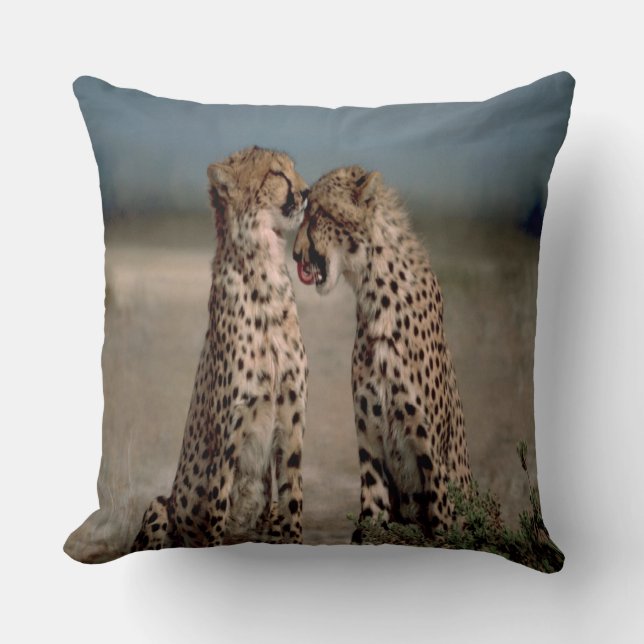 Cheetah Love Throw Pillow (Front)