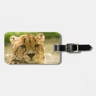 Cheetah Luggage Tag