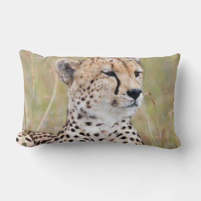 Cheetah Lumbar Pillow (Front)