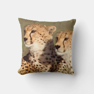 Cheetah Lying In Grass, Ngorongoro Conservation Throw Pillow