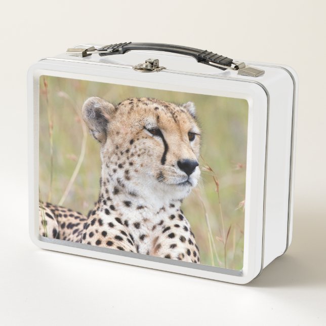 Cheetah Metal Lunch Box (Front)