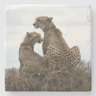 Cheetah Mom and Cub (full colour) Stone Coaster