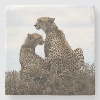 Cheetah Mom and Cub (full colour) Stone Coaster
