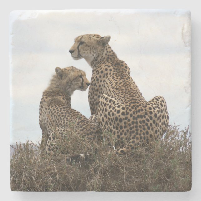Cheetah Mom and Cub (full colour) Stone Coaster (Front)