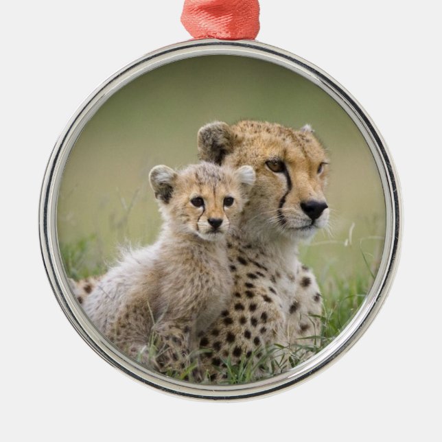 CHEETAH MOM ET BÉBÉ ORNEMENT DE NOËL (Devant)