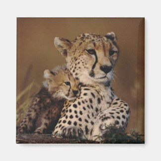 Cheetah Mother and Cub Magnet