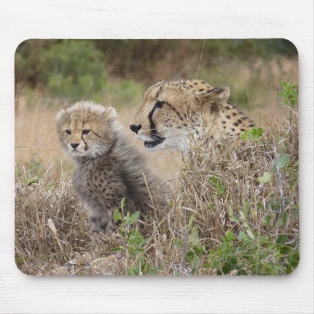Cheetah Mother and Cub Mouse Pad (Front)