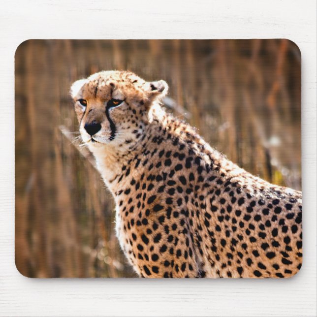 Cheetah Mouse Pad (Front)