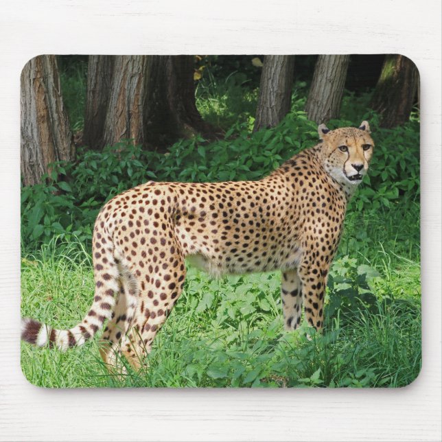 Cheetah Mouse Pad (Front)