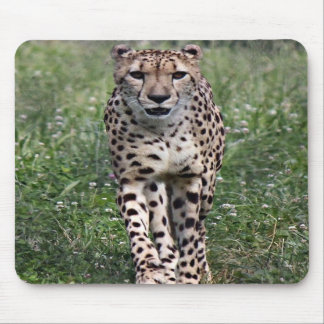 Cheetah mouse pad