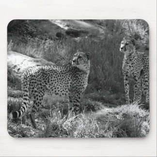 Cheetah Mouse pad