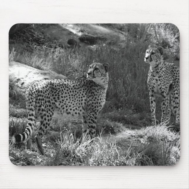 Cheetah Mouse pad (Front)