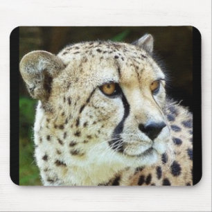 cheetah mouse pad