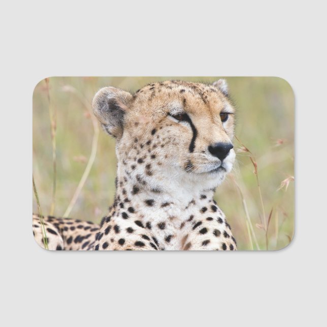 Cheetah Name Tag (Front)