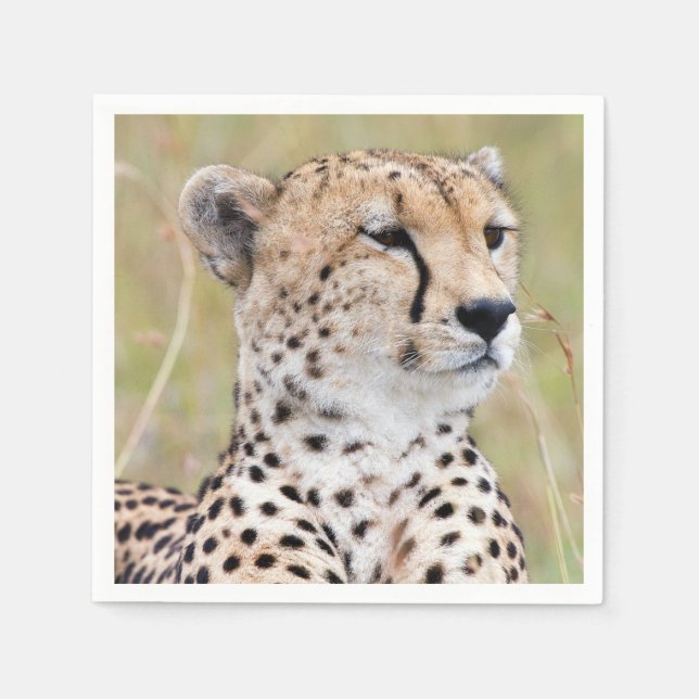 Cheetah Napkin (Front)