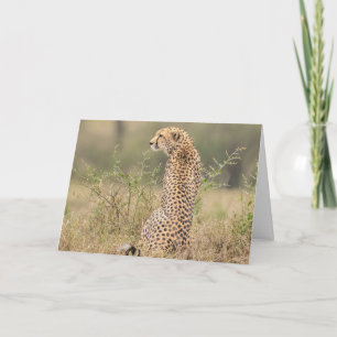 Cheetah Natural Setting Personalize Text Signature Card
