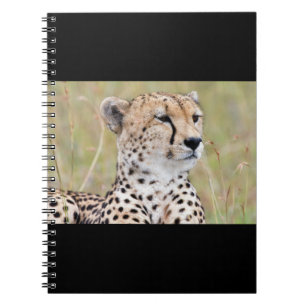 Cheetah Notebook